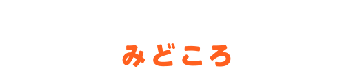 展示のみどころ